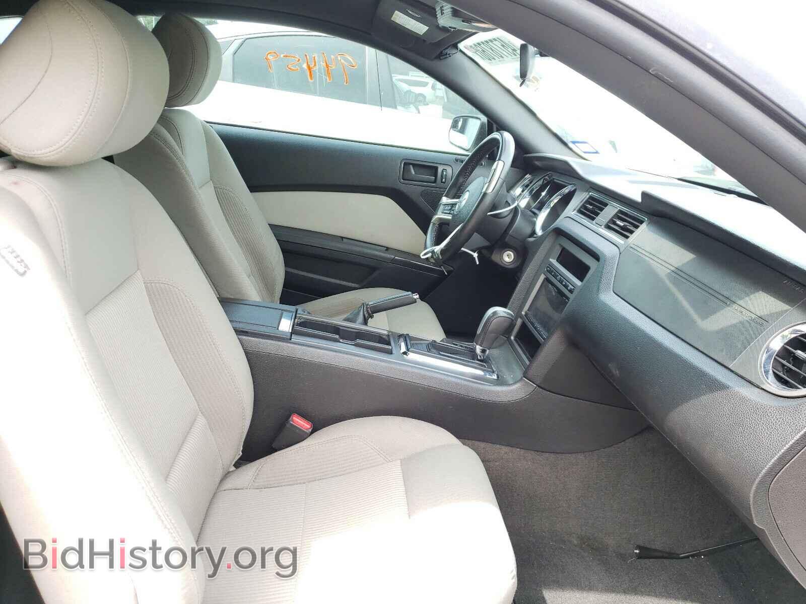 2013 FORD MUSTANG - VIN: 1ZVBP8AM5D5266575 - Фото 5