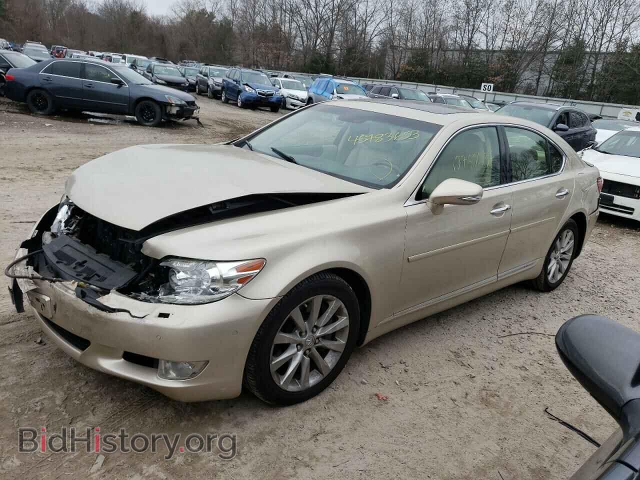 Фотография JTHCL5EF8B5012030 - LEXUS LS460 2011