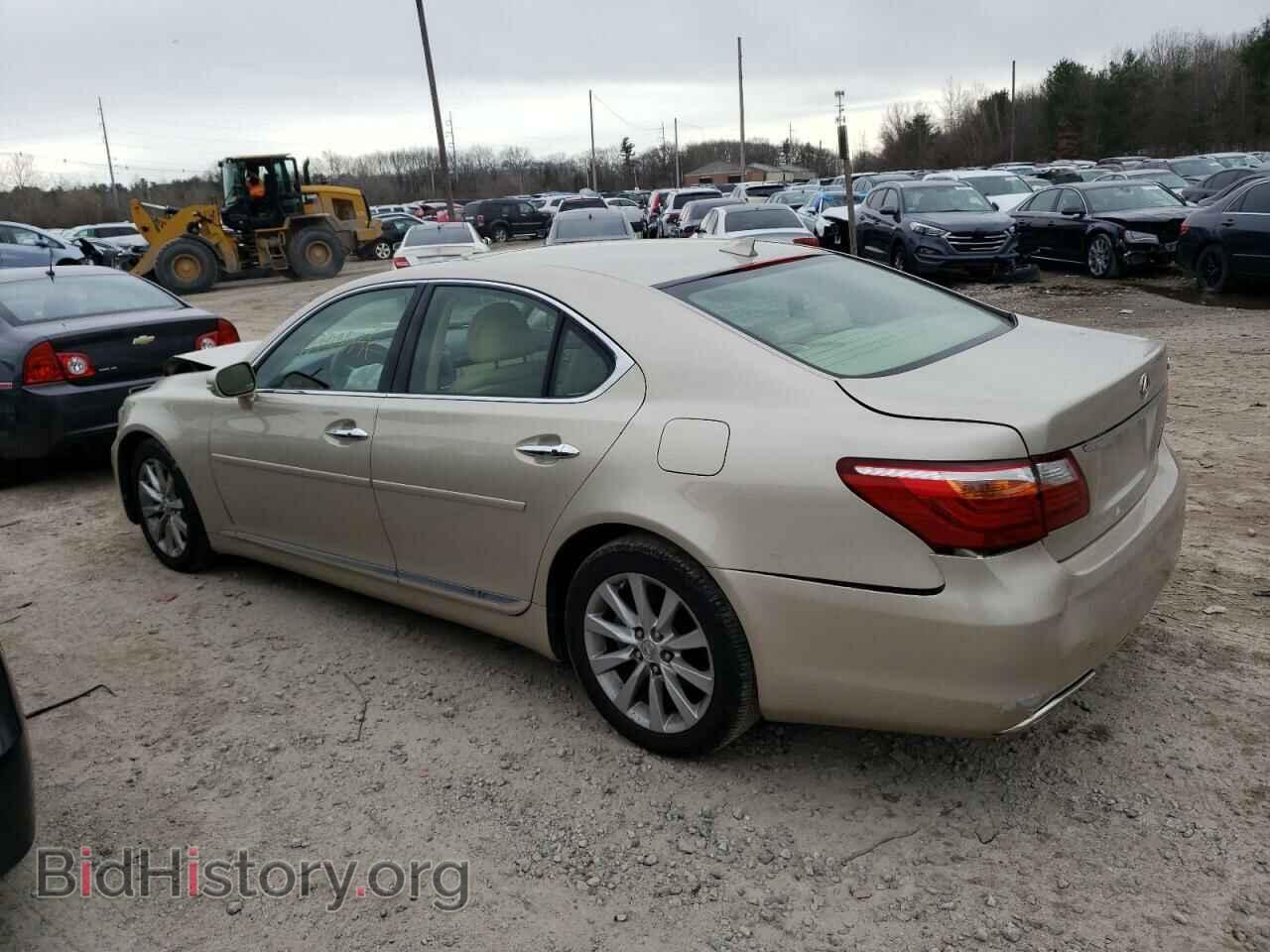 2011 LEXUS LS460 - VIN: JTHCL5EF8B5012030 - Фото 2