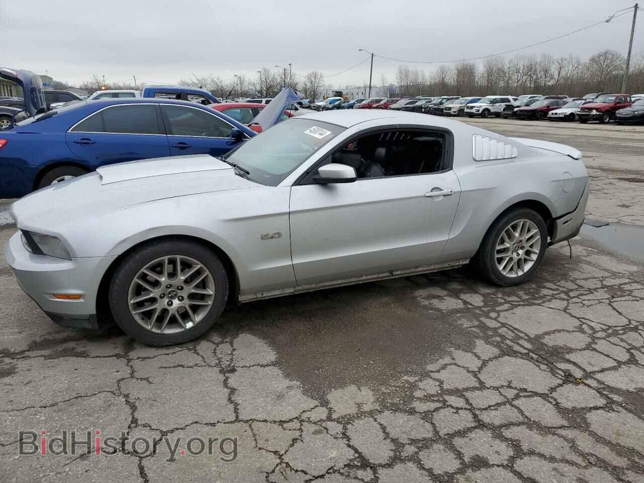 Фотография 1ZVBP8CF5C5267822 - FORD MUSTANG 2012