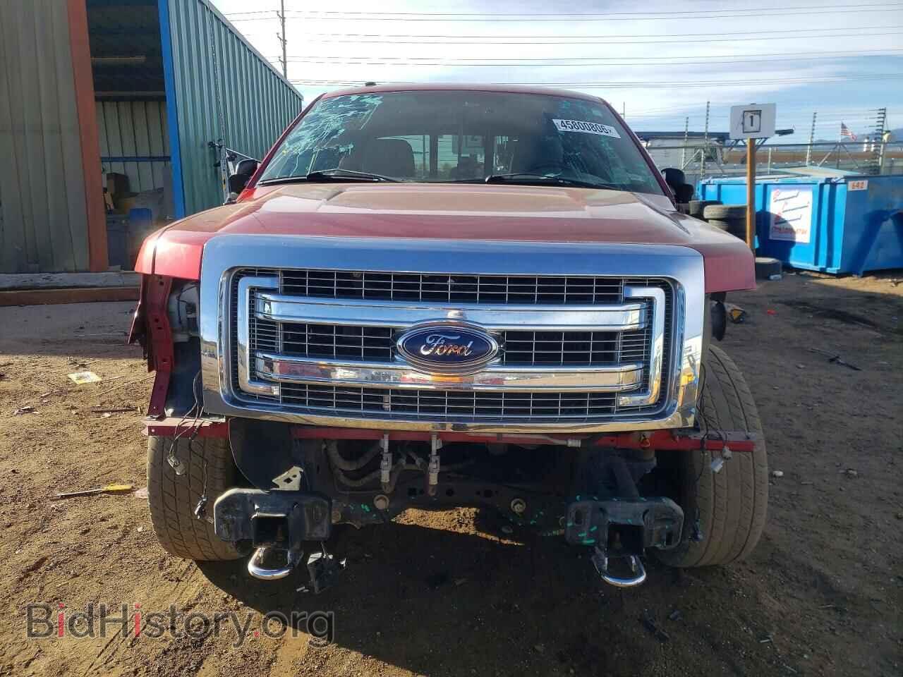 2013 FORD F150 - VIN: 1FTFX1EF9DFA35602 - Фото 5
