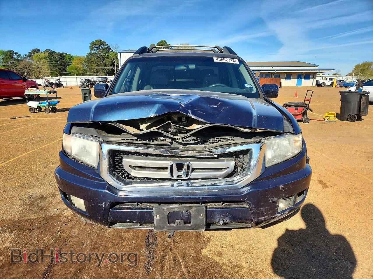 2010 HONDA RIDGELINE - VIN: 5FPYK1F51AB006969 - Фото 5