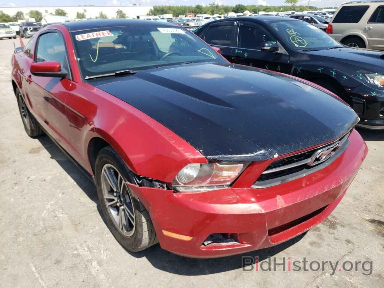Photo 1ZVBP8AN8A5128162 - FORD MUSTANG 2010