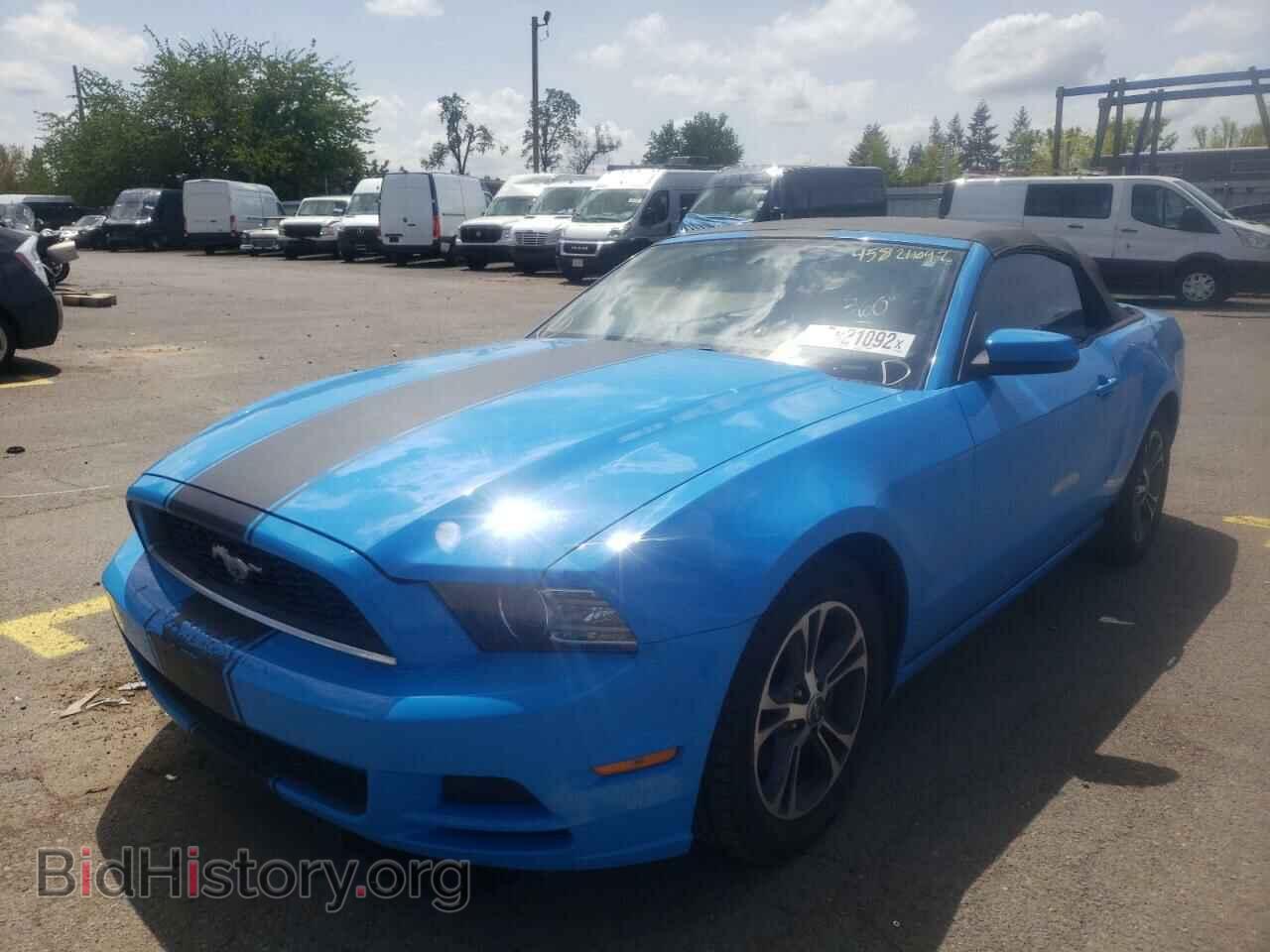 2013 FORD MUSTANG - VIN: 1ZVBP8EM4D5202893 - Фото 2