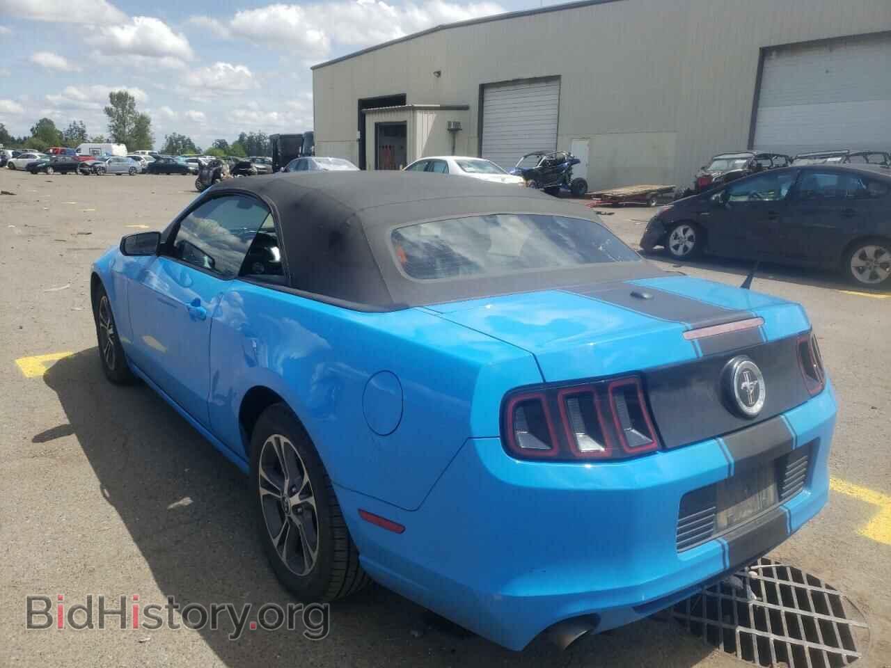 2013 FORD MUSTANG - VIN: 1ZVBP8EM4D5202893 - Фото 3