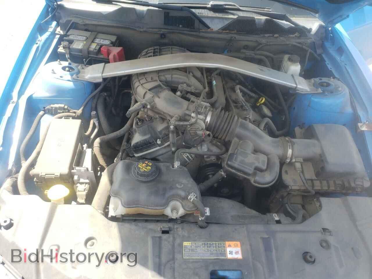 2013 FORD MUSTANG - VIN: 1ZVBP8EM4D5202893 - Фото 7