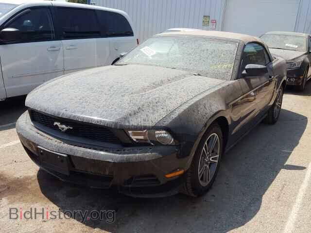 2010 FORD MUSTANG - VIN: 1ZVBP8EN4A5124748 - Фото 2