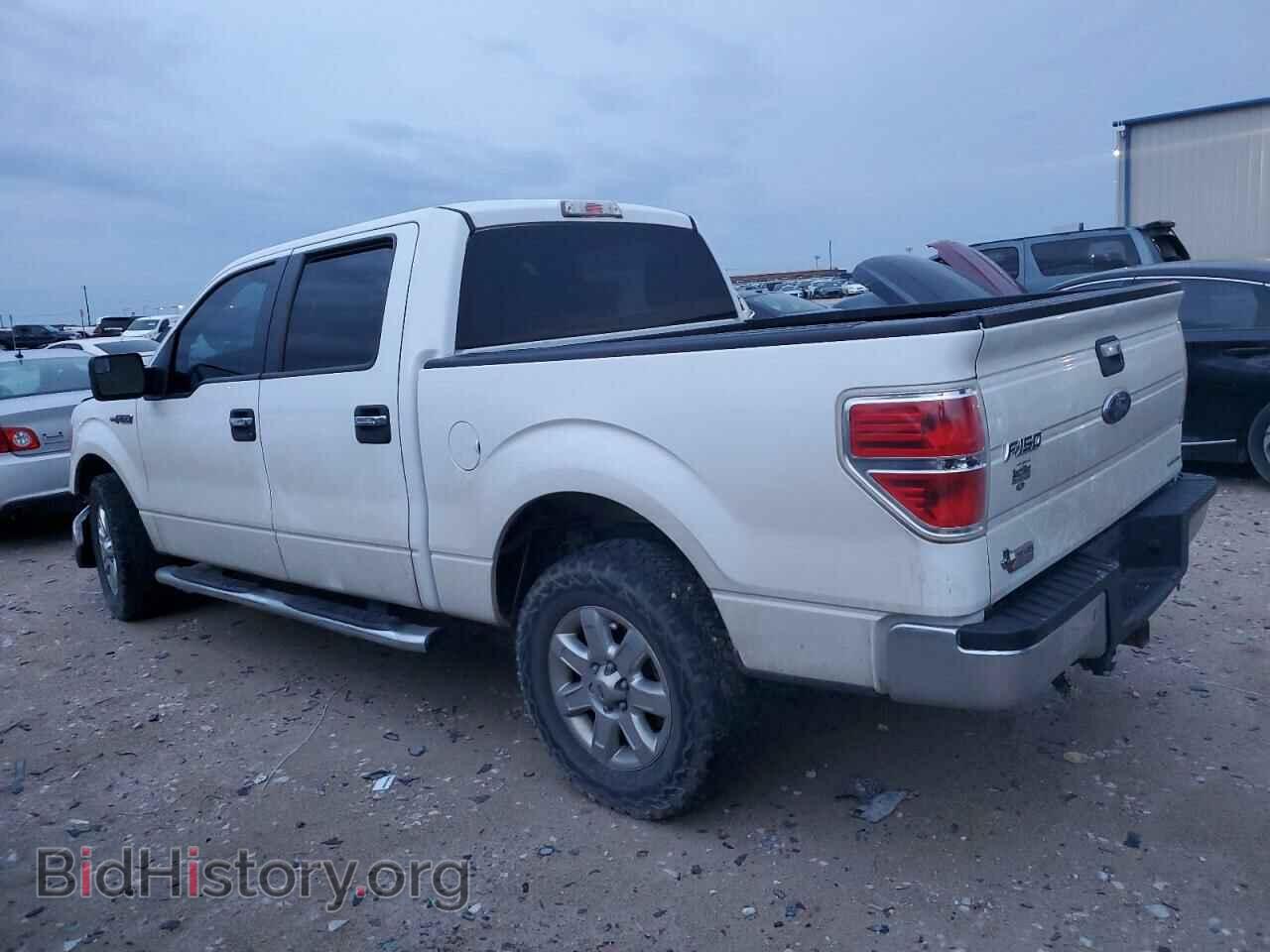 2013 FORD F-150 - VIN: 1FTFW1CF9DFD55069 - Фото 2