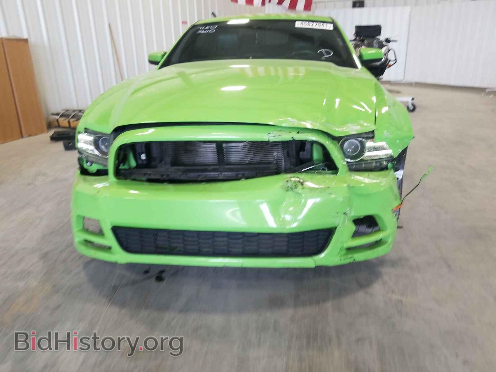 2013 FORD MUSTANG - VIN: 1ZVBP8AM1D5265987 - Фото 9