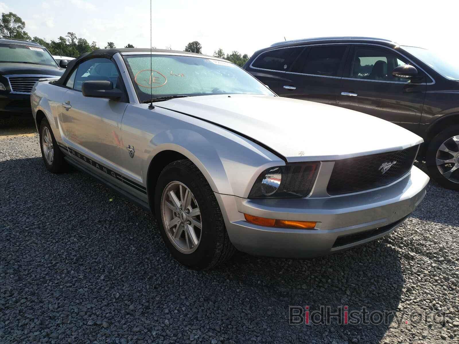 Photo 1ZVHT84N695115455 - FORD MUSTANG 2009