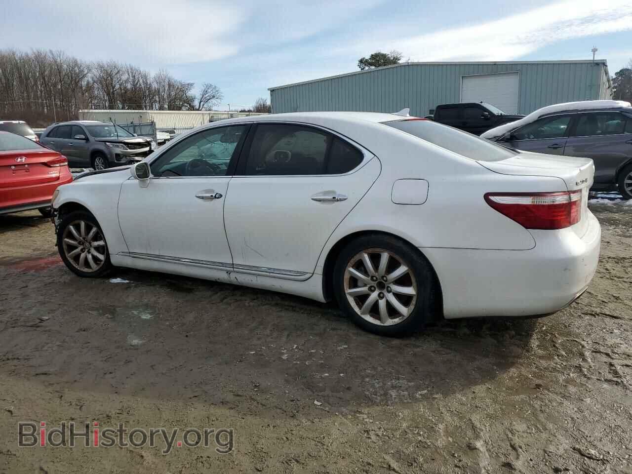 2009 LEXUS LS460 - VIN: JTHCL46F495001013 - Photo 2