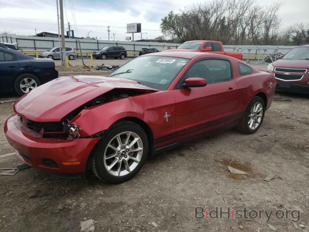 Photo 1ZVBP8AN7A5115113 - FORD MUSTANG 2010