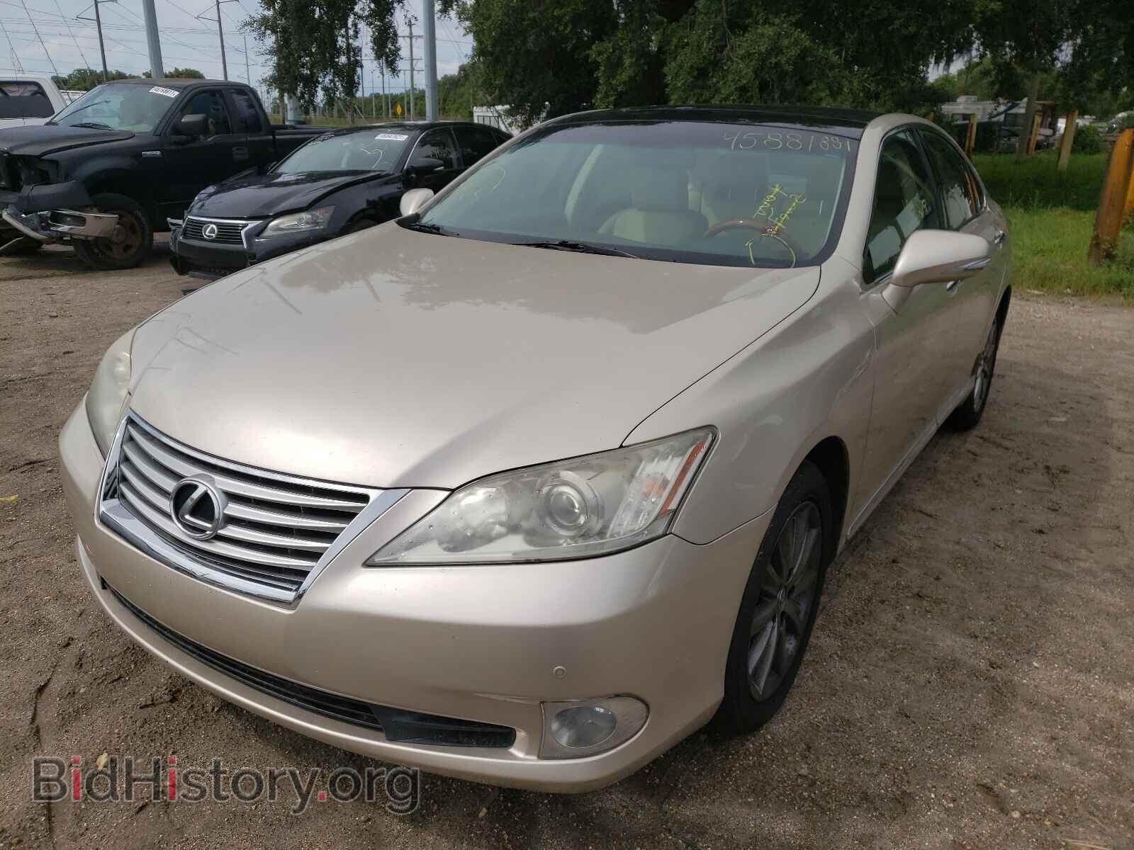 2011 LEXUS ES350 - VIN: JTHBK1EG2B2435073 - Фото 2