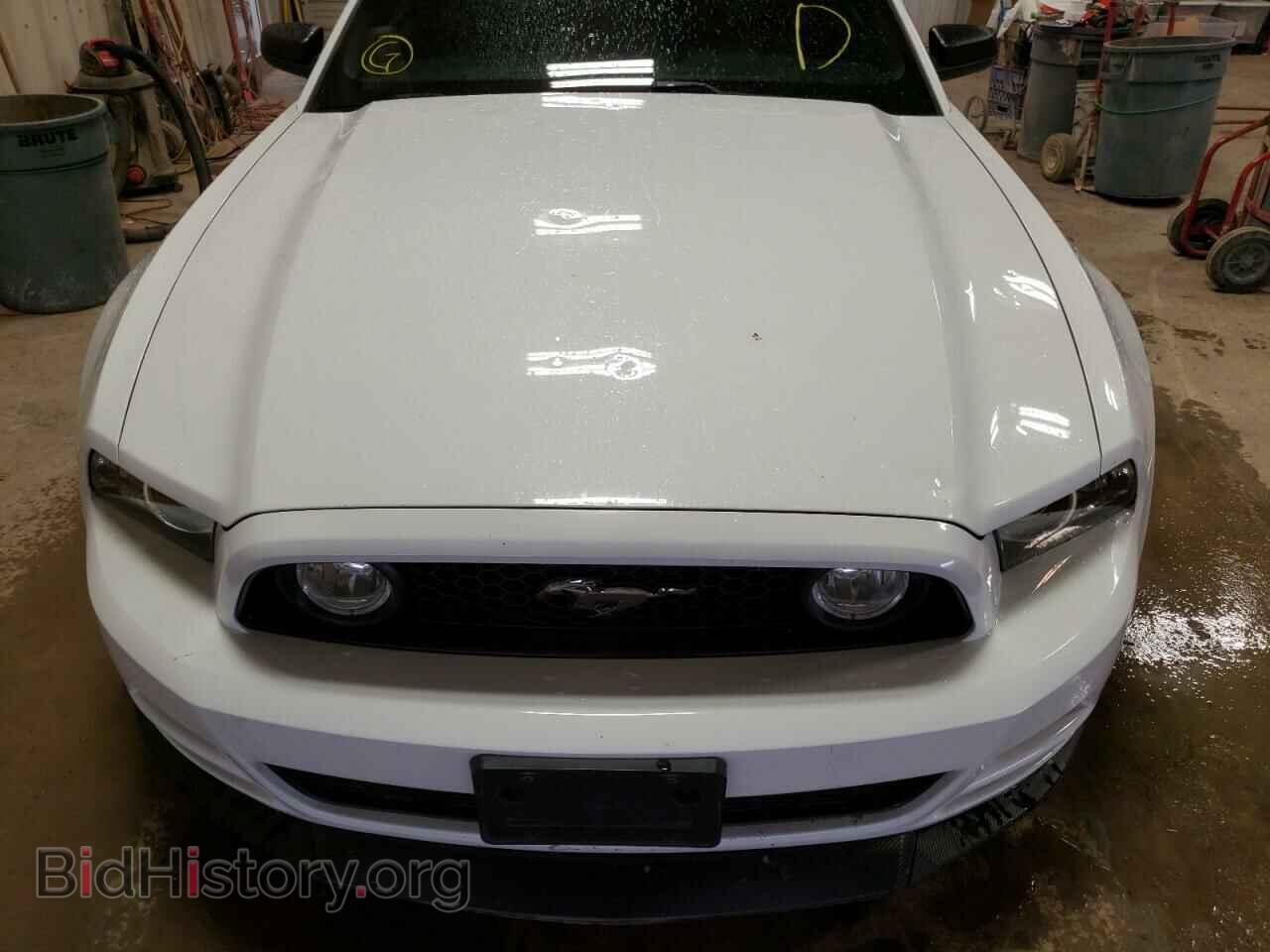 2014 FORD MUSTANG - VIN: 1ZVBP8AM4E5294563 - Фото 9