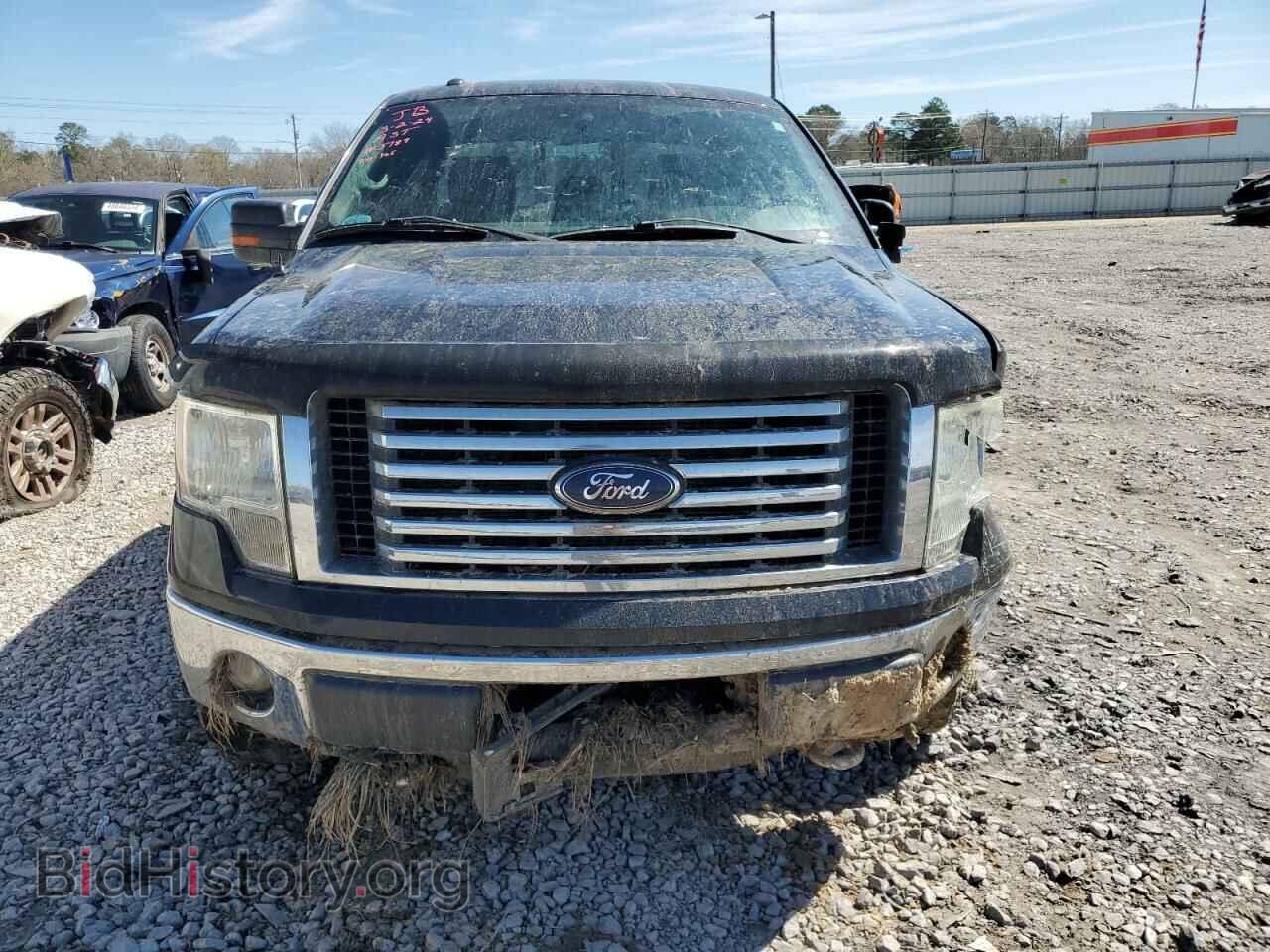 2012 FORD F-150 - VIN: 1FTFX1EF4CFB79461 - Фото 5