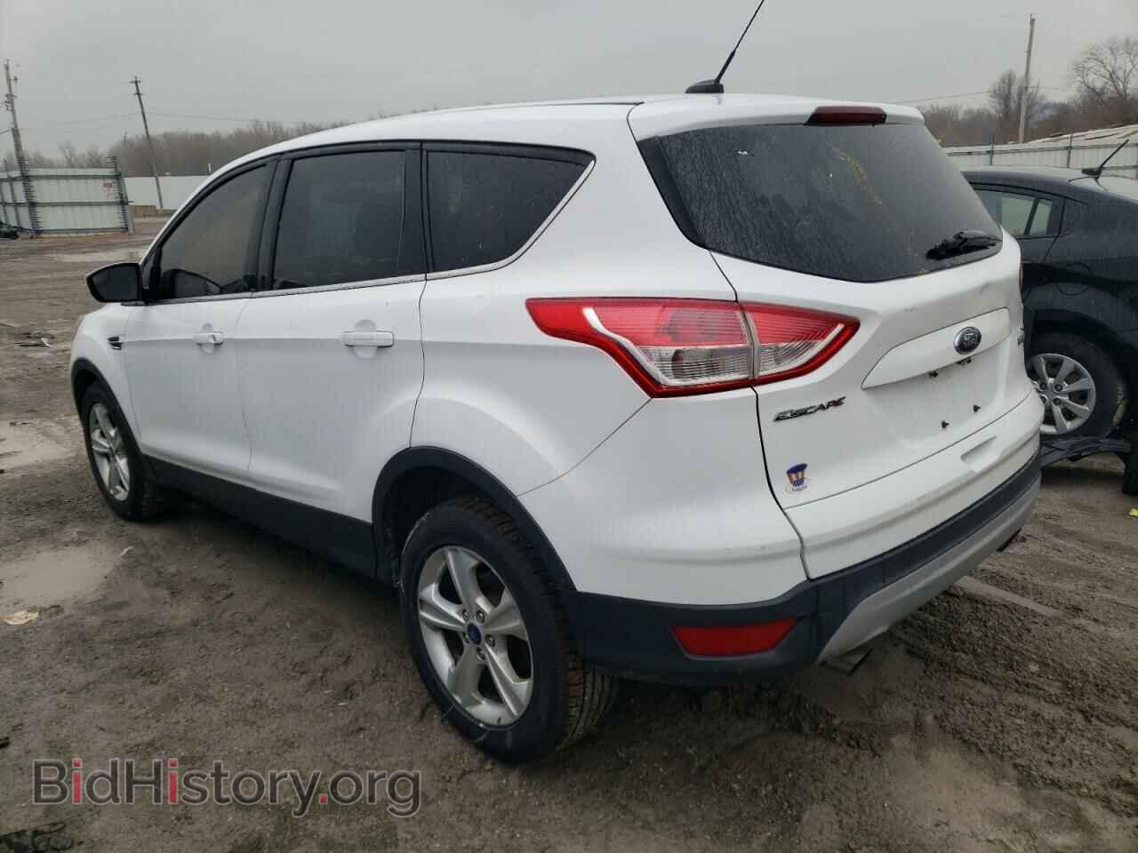 2014 FORD ESCAPE - VIN: 1FMCU0GX1EUB66253 - Фото 2