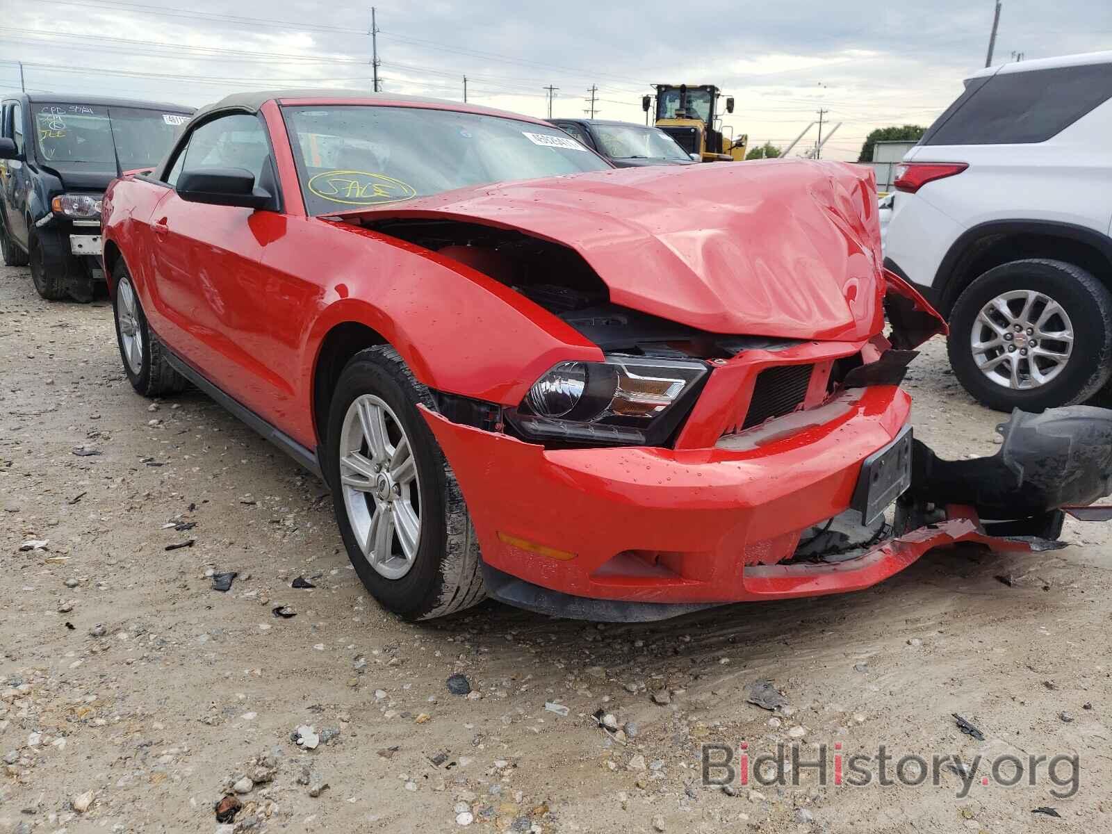 Фотография 1ZVBP8EM9B5148455 - FORD MUSTANG 2011