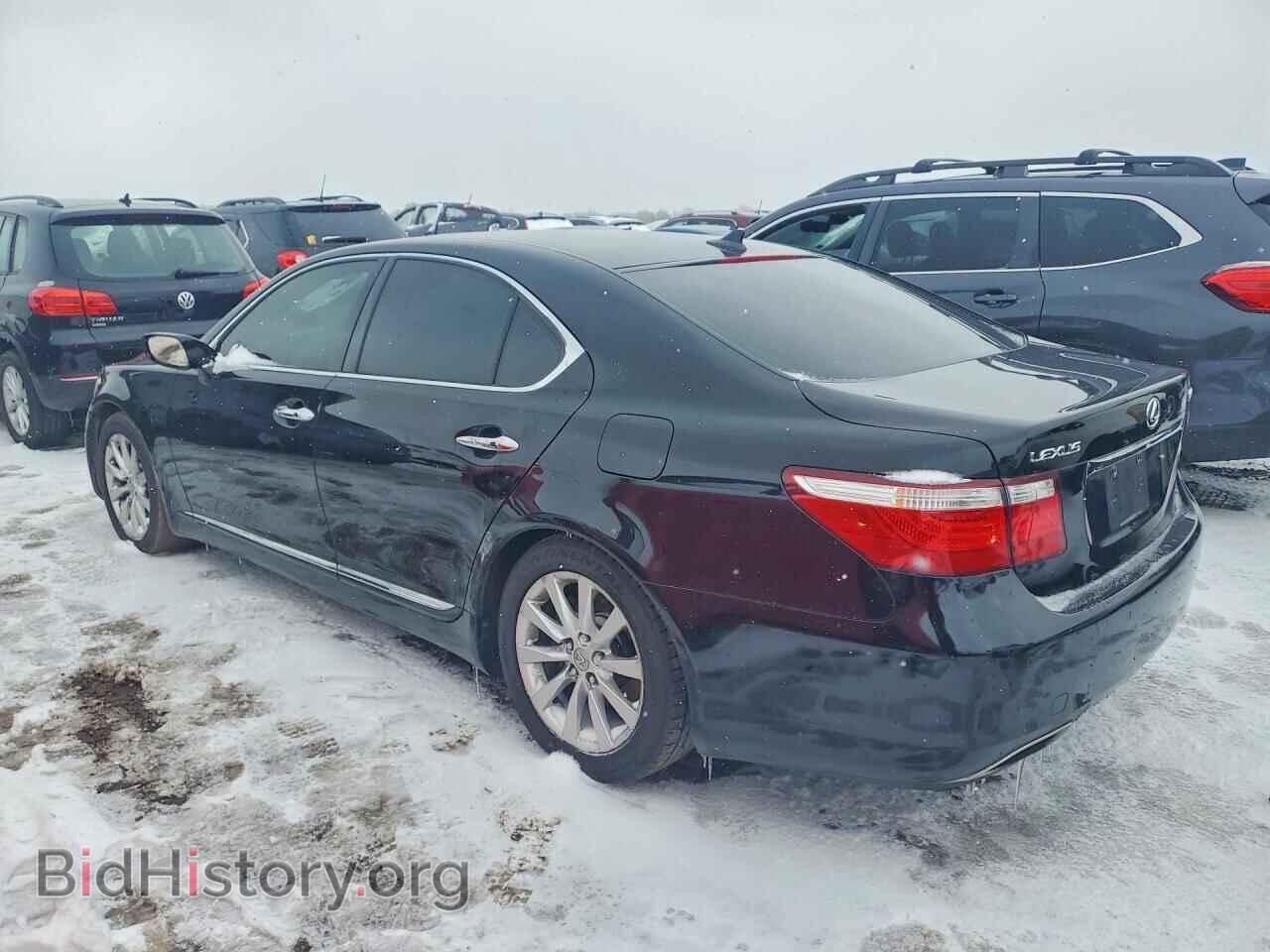 2007 LEXUS LS500 - VIN: JTHBL46F175016819 - Фото 2