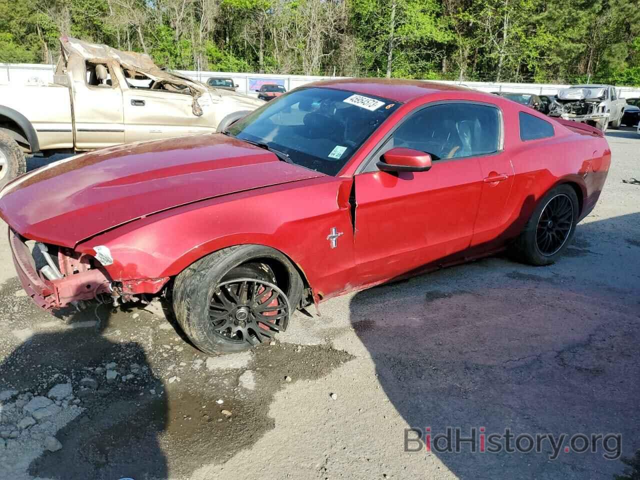 Photo 1ZVBP8AM8C5221466 - FORD MUSTANG 2012
