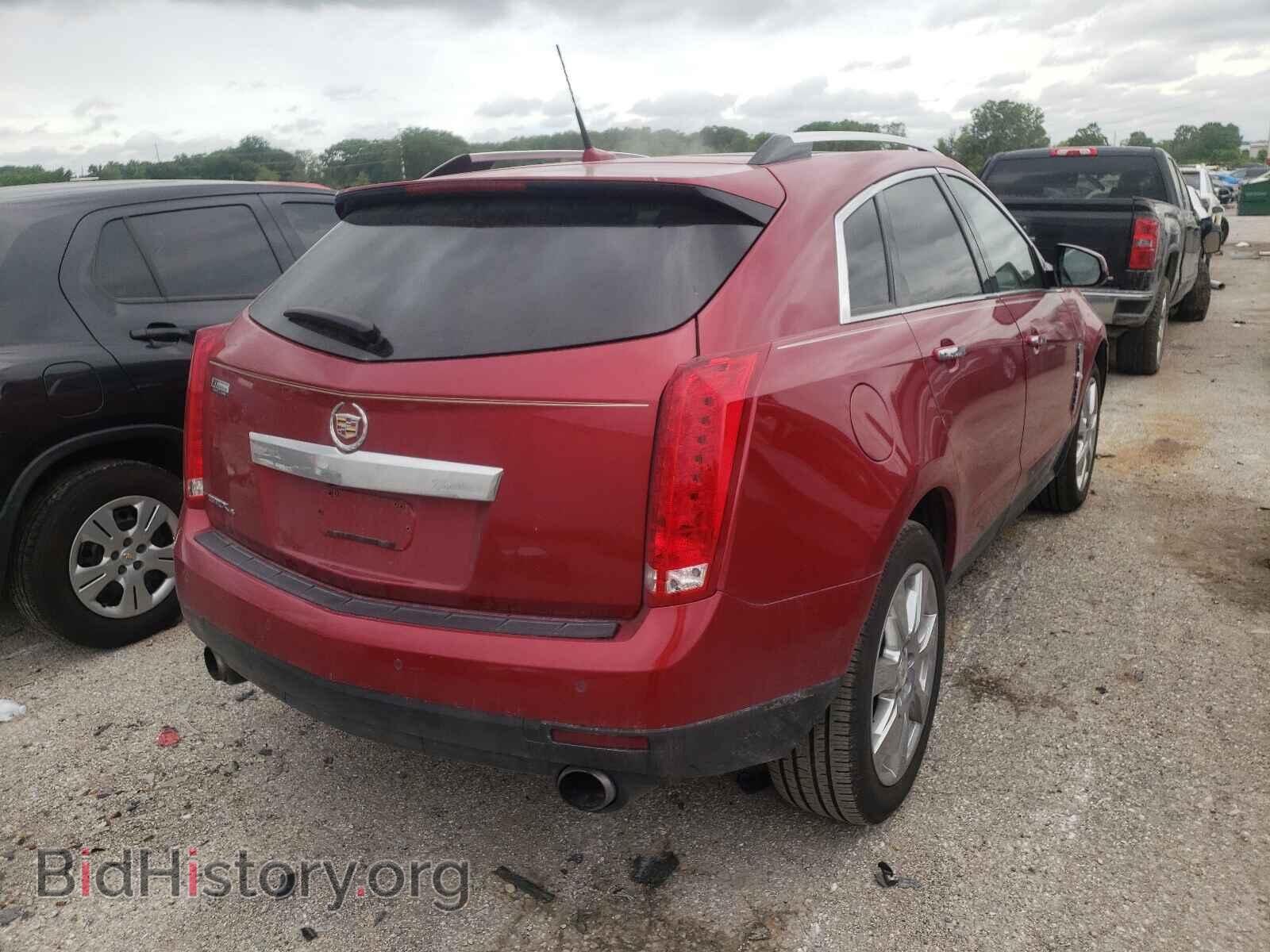 2010 CADILLAC SRX - VIN: 3GYFNFEY9AS594203 - Фото 4