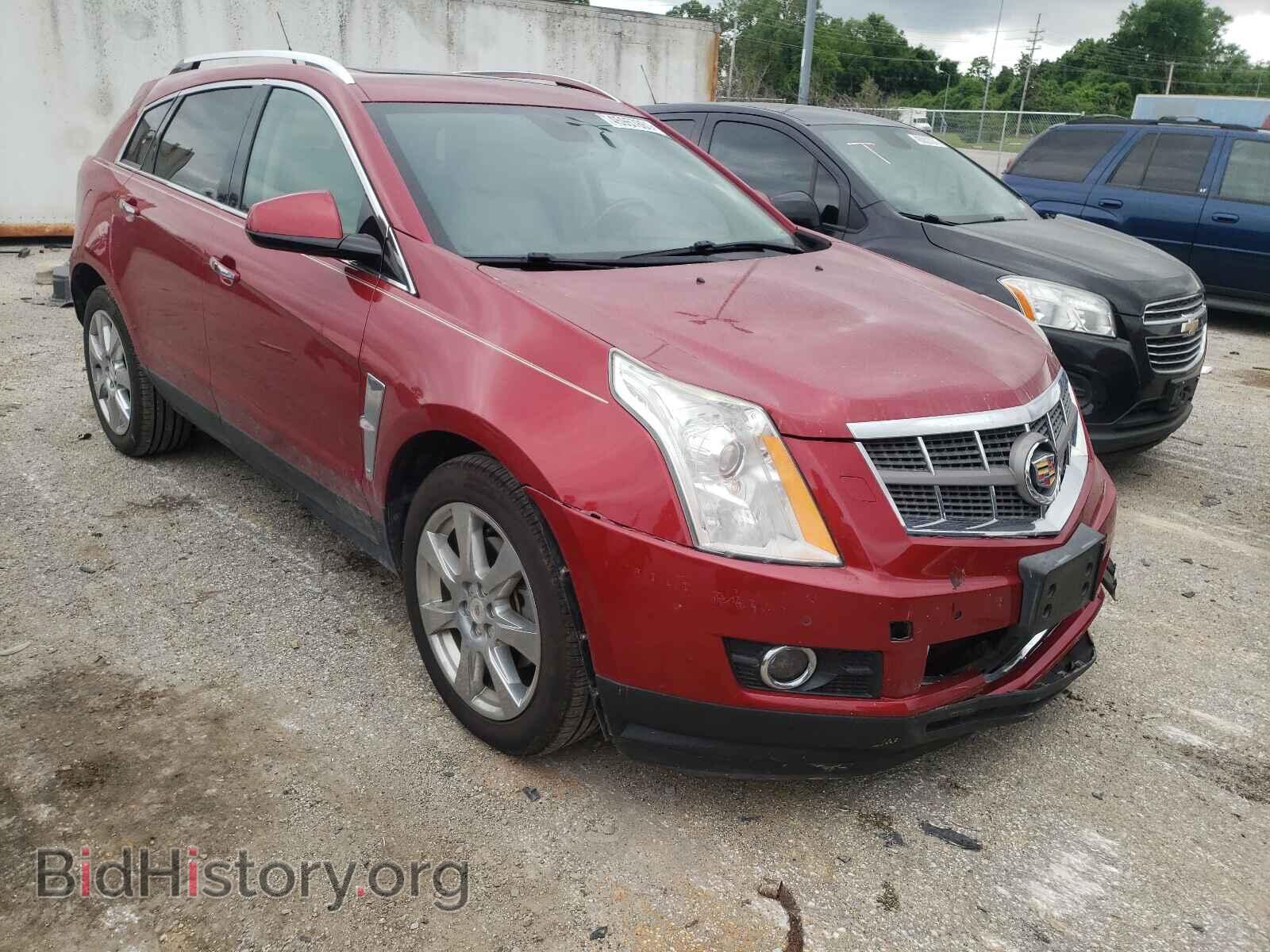 2010 CADILLAC SRX - VIN: 3GYFNFEY9AS594203 - Фото 9