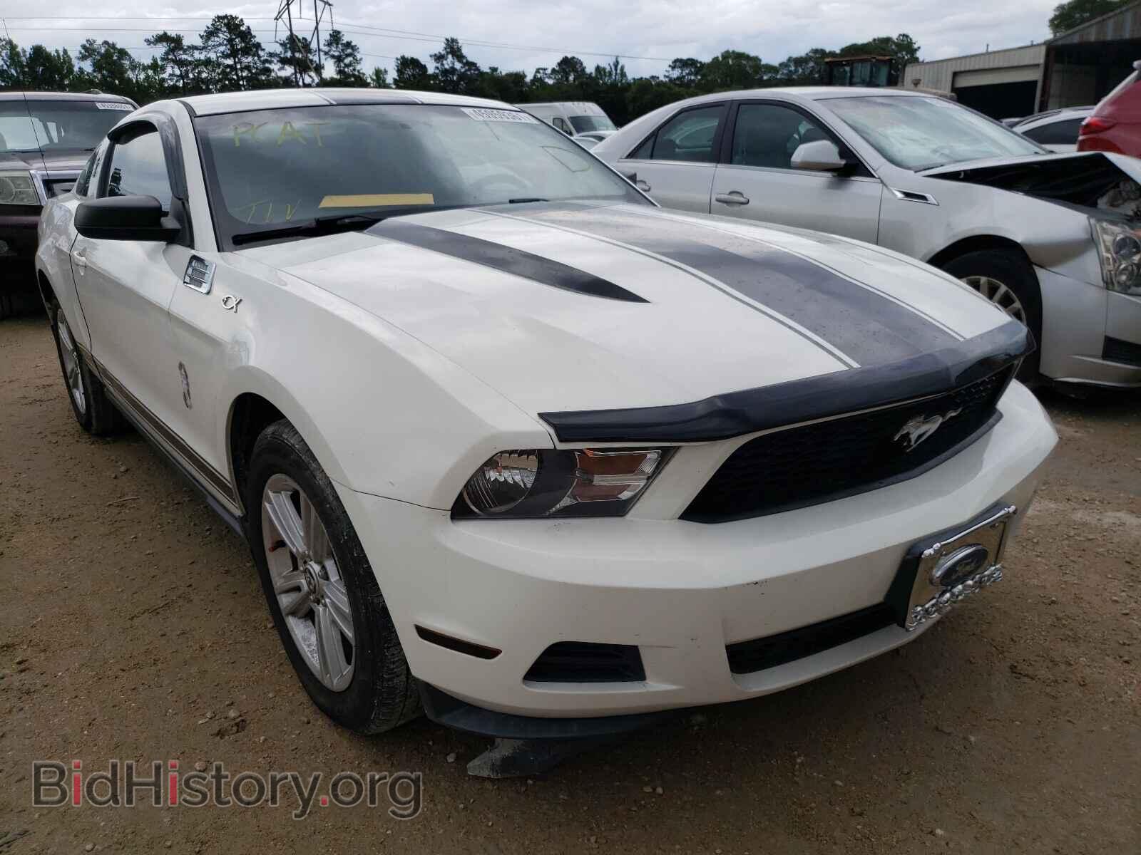 Фотография 1ZVBP8AN7A5112468 - FORD MUSTANG 2010
