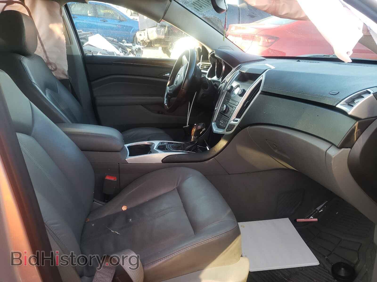 2010 CADILLAC SRX - VIN: 3GYFNFEY0AS500077 - Фото 5