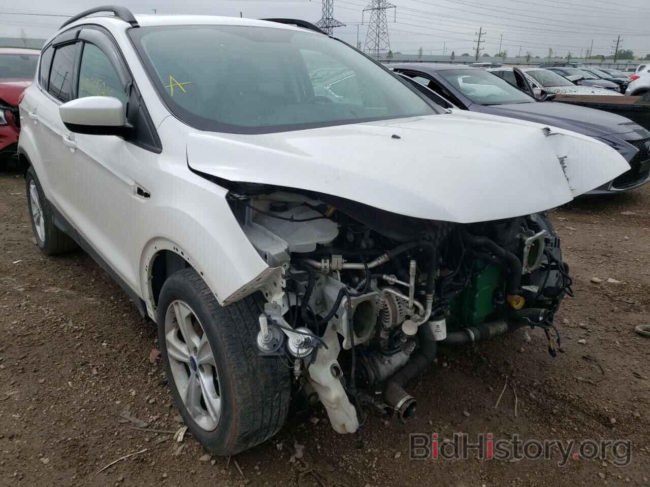 Photo 1FMCU0G93EUB27004 - FORD ESCAPE 2014