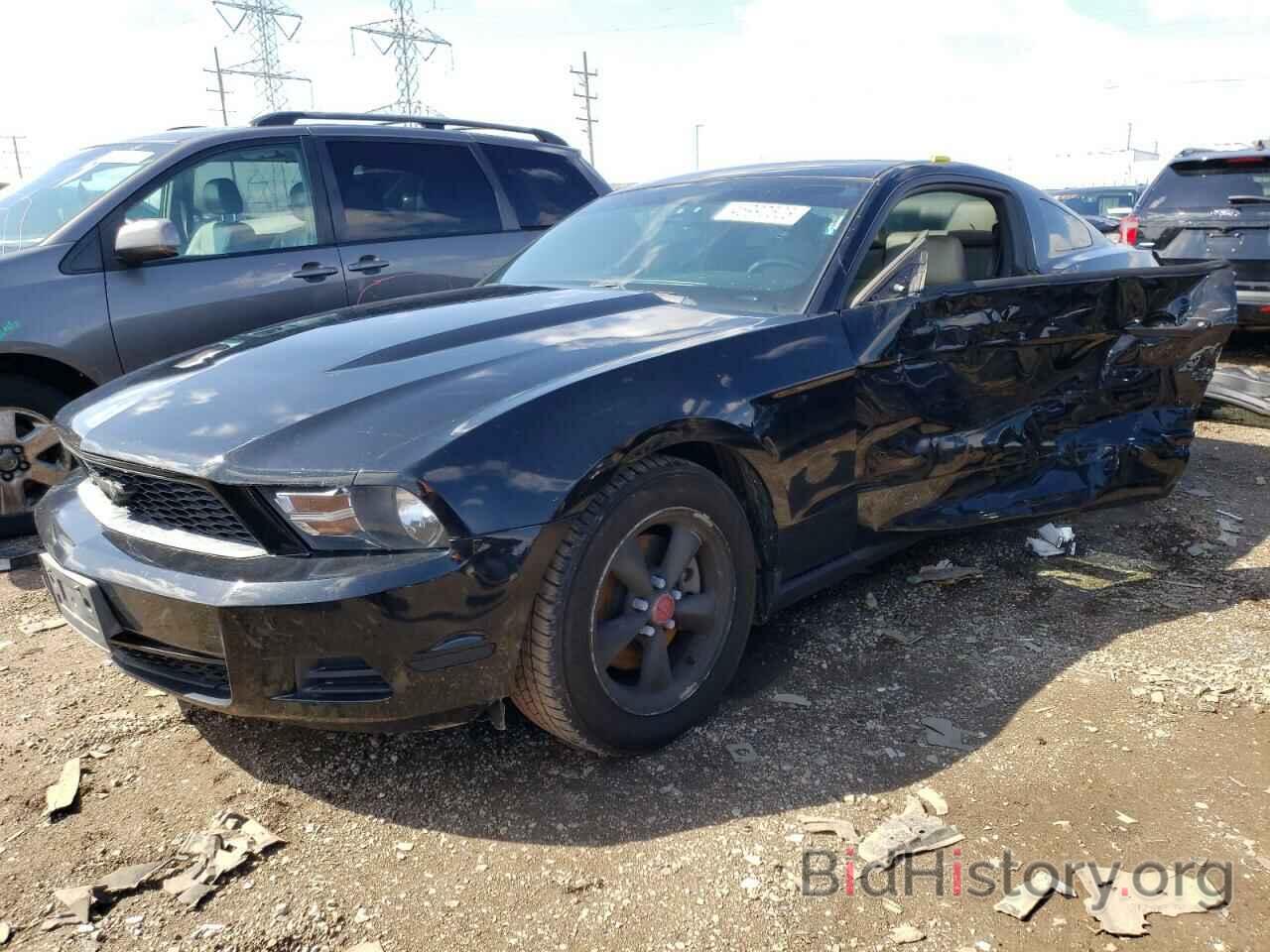Photo 1ZVBP8AMXC5212123 - FORD MUSTANG 2012