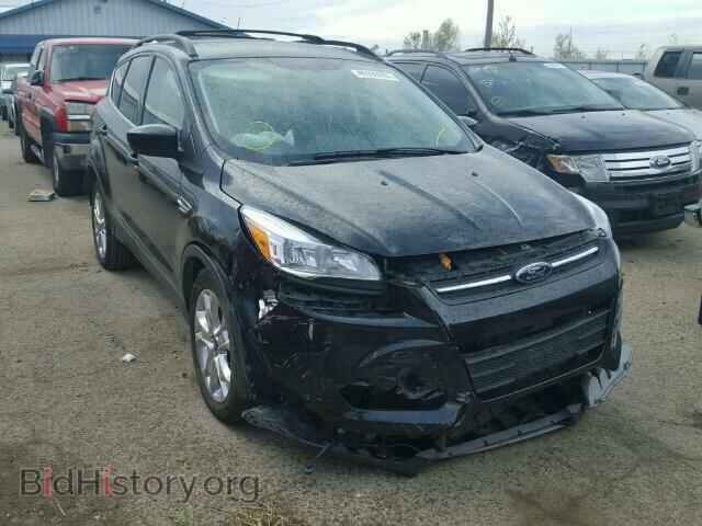 Фотография 1FMCU0GX1DUA57841 - FORD ESCAPE 2013