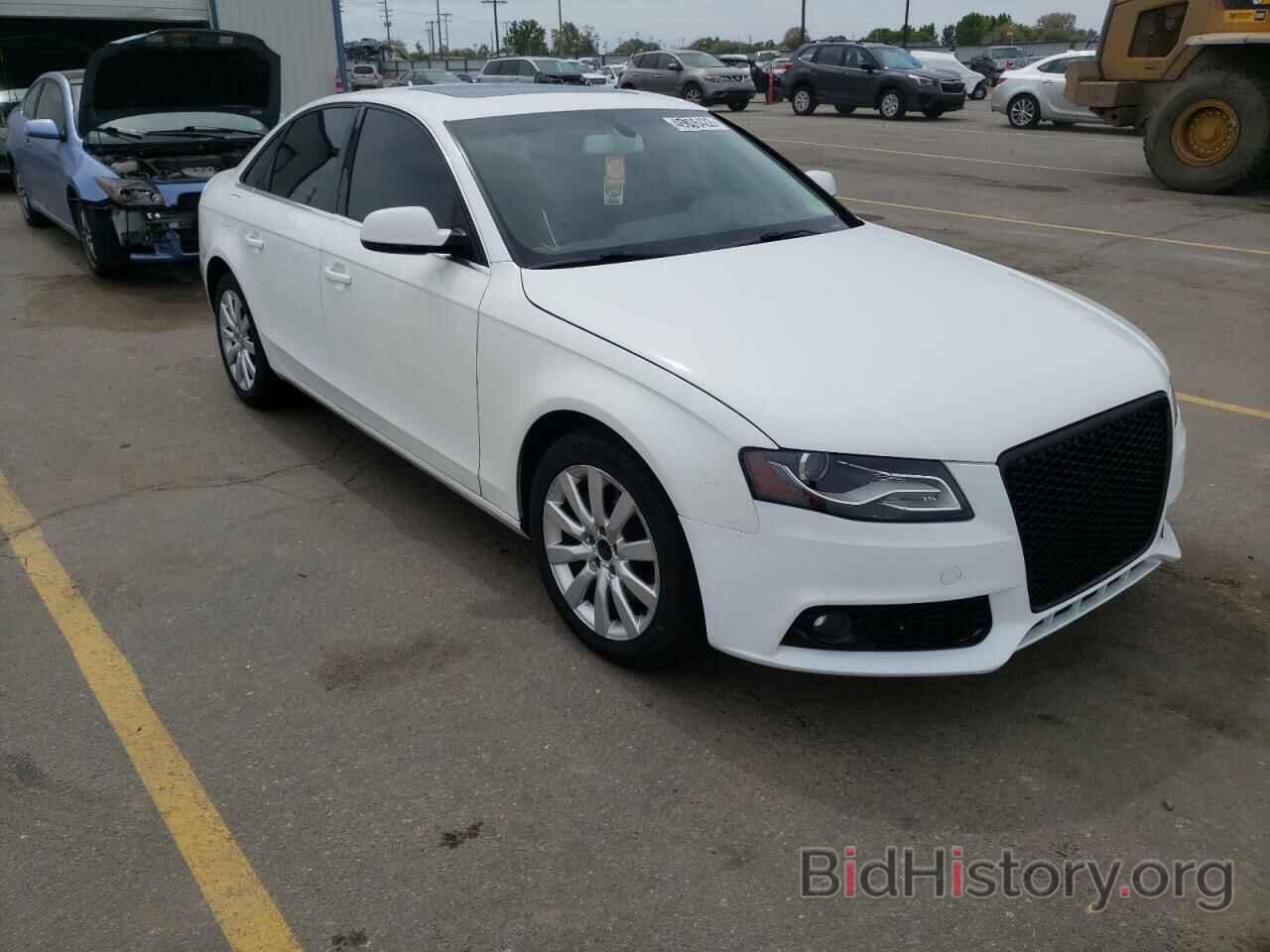 Photo WAUEFAFL6AN031959 - AUDI A4 2010