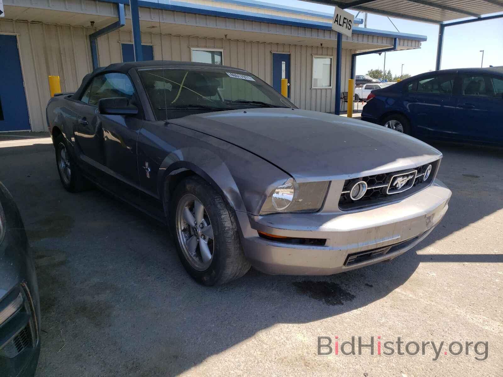 Photo 1ZVHT84NX75255022 - FORD MUSTANG 2007