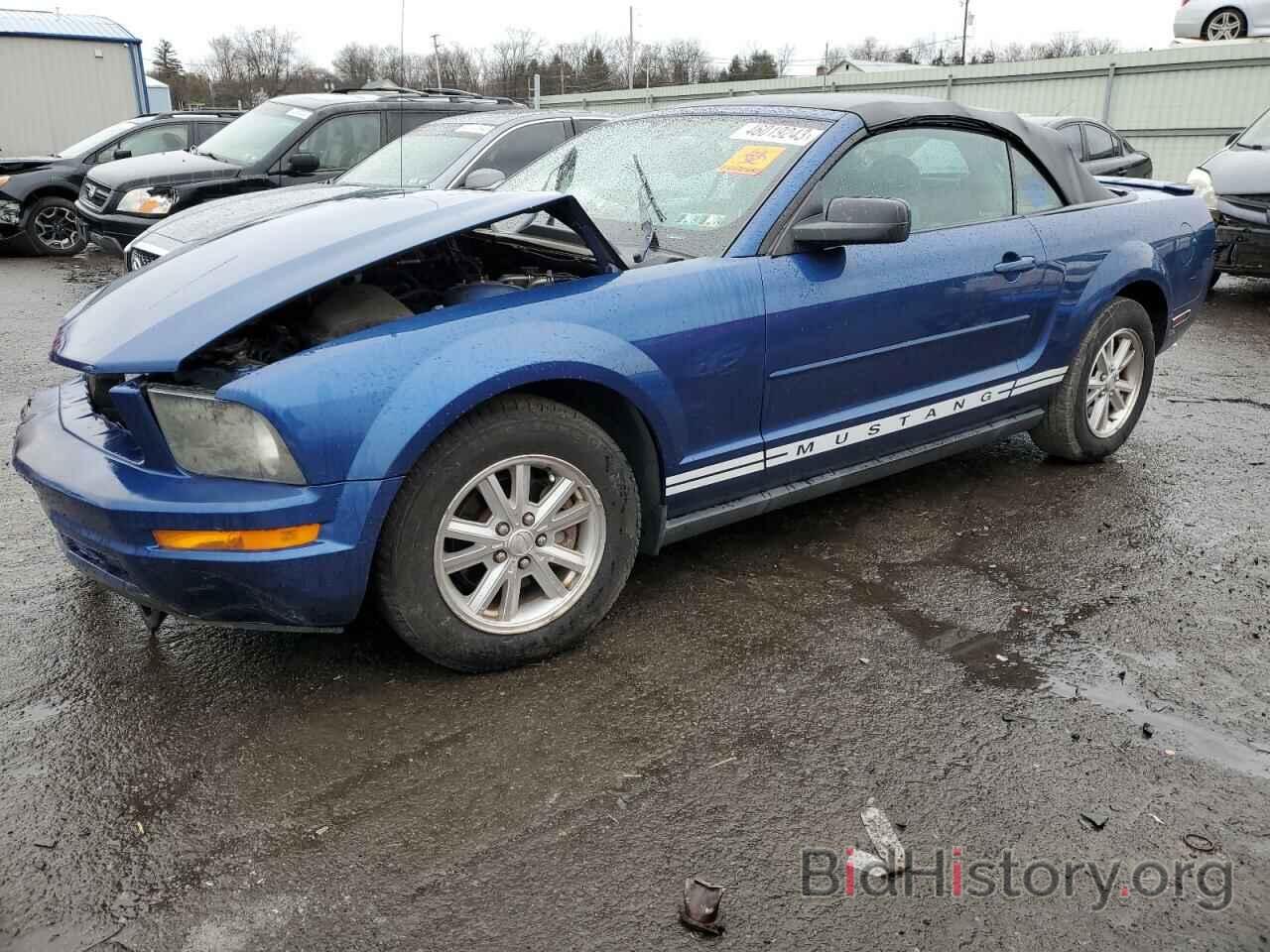 Photo 1ZVHT84N785185996 - FORD MUSTANG 2008
