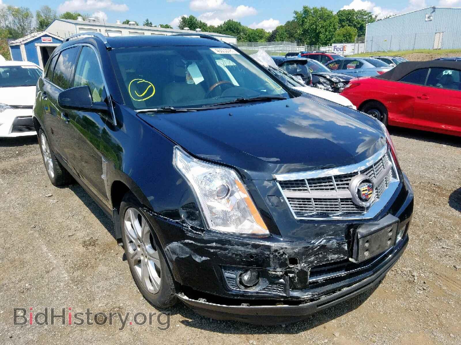 Фотография 3GYFNEEY7BS536960 - CADILLAC SRX PERFOR 2011