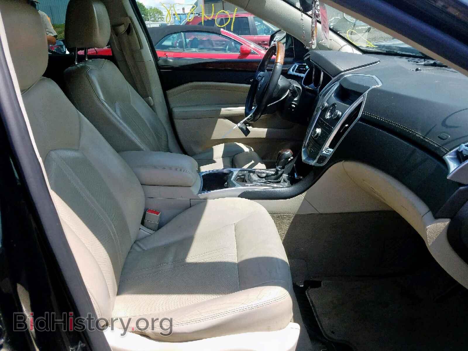 2011 CADILLAC SRX PERFOR - VIN: 3GYFNEEY7BS536960 - Фото 5