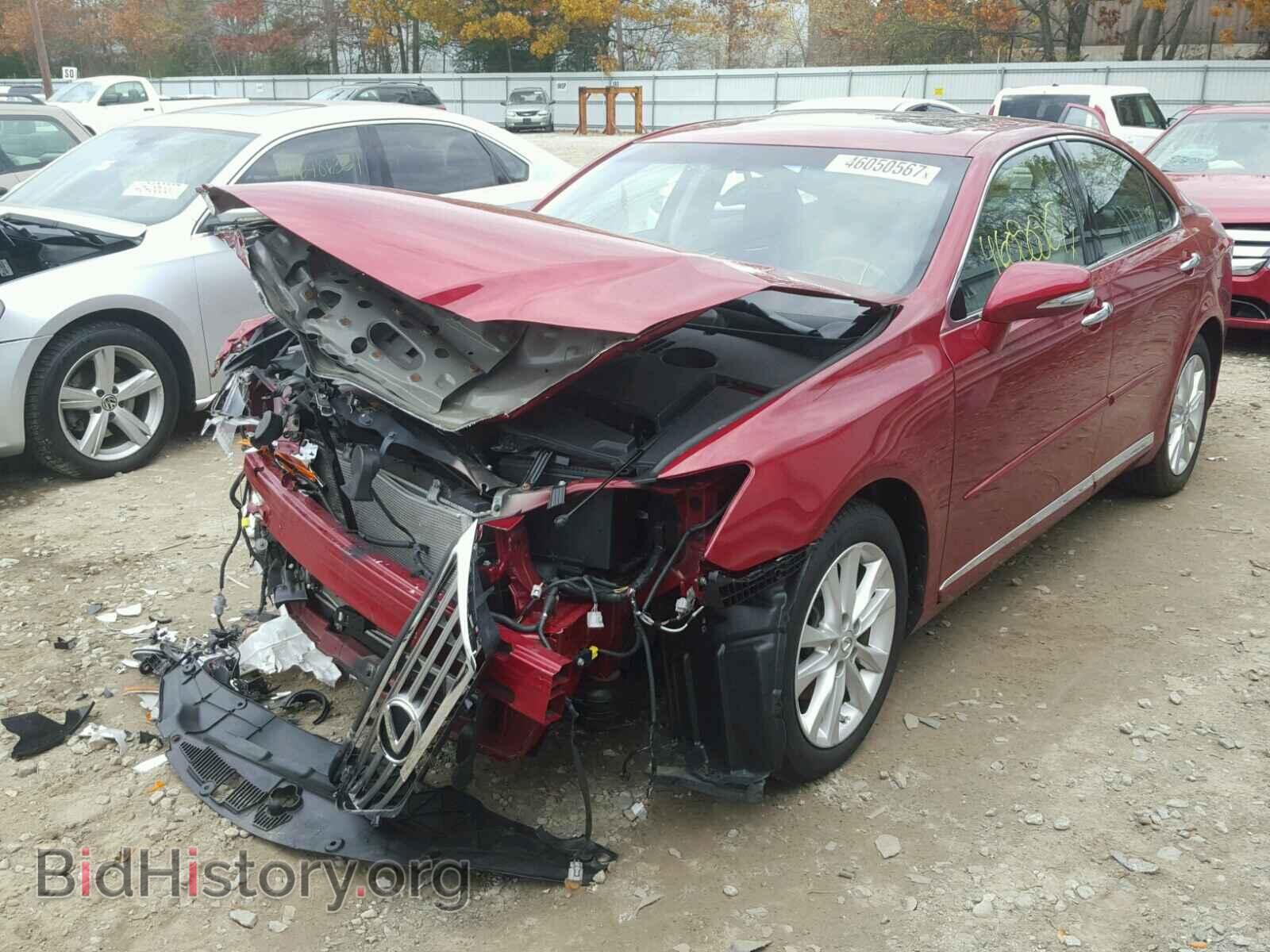 2010 LEXUS ES 350 - VIN: JTHBK1EG9A2403574 - Фото 2