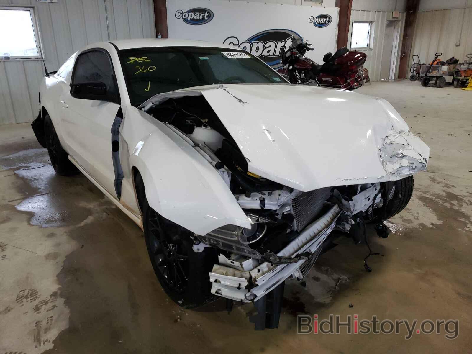Photo 1ZVBP8AM9E5313365 - FORD MUSTANG 2014