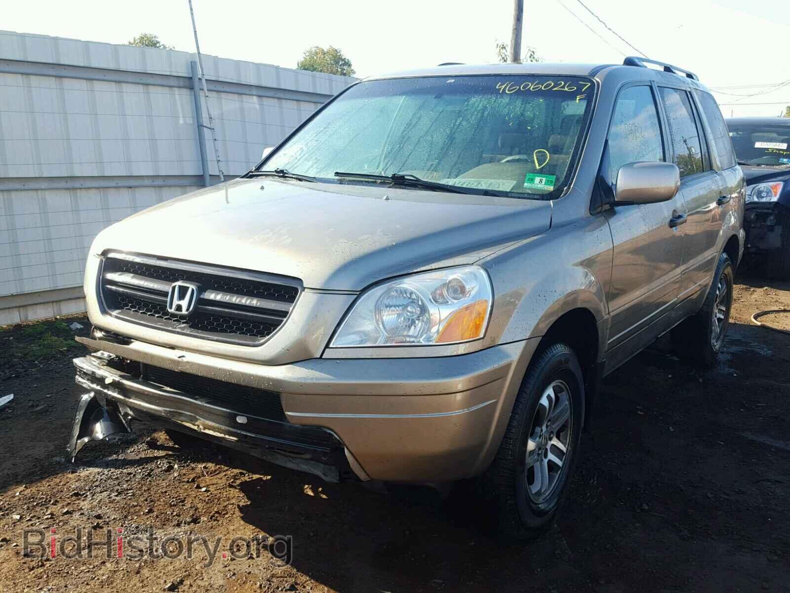 2005 HONDA PILOT - VIN: 5FNYF18425B062278 - Фото 2