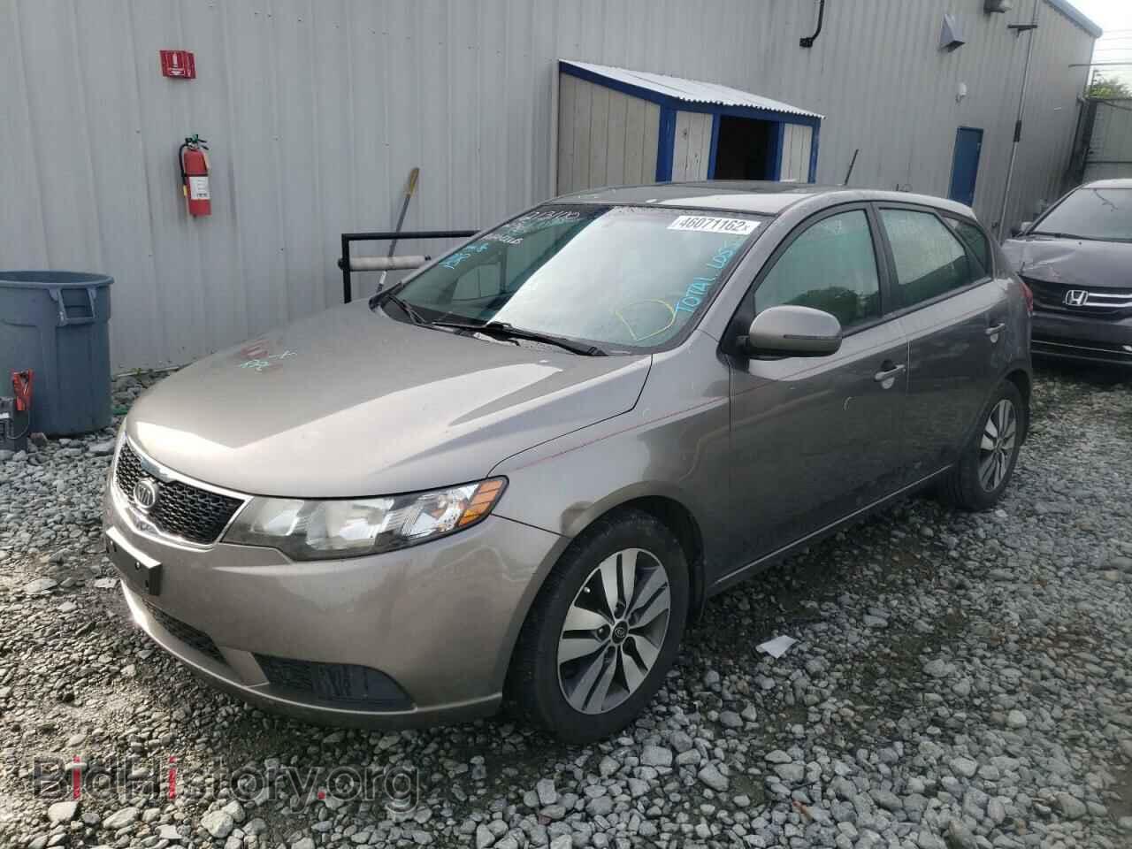 2013 KIA FORTE - VIN: KNAFU5A2XD5657311 - Фото 2