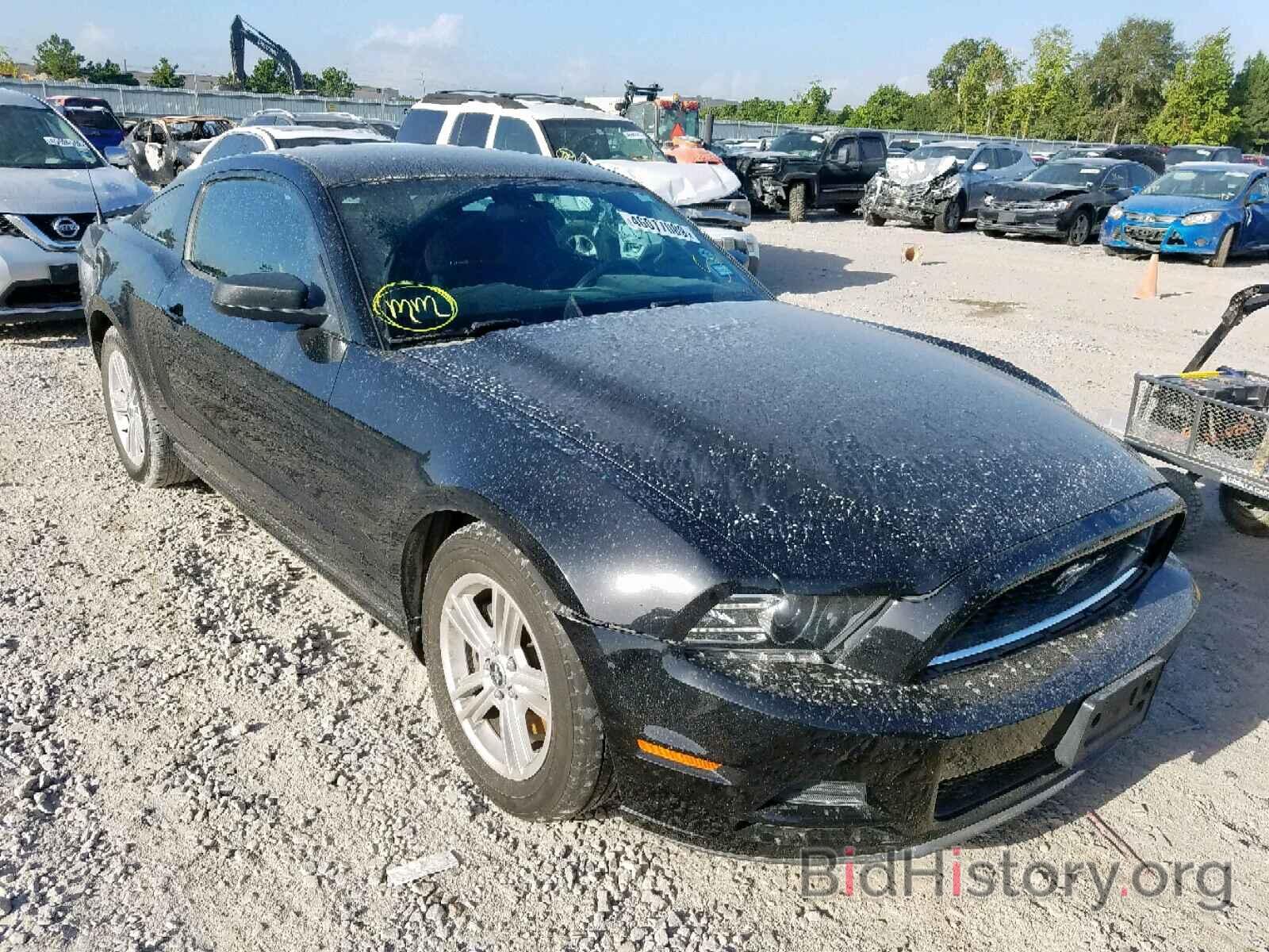 Photo 1ZVBP8AM4D5241120 - FORD MUSTANG 2013