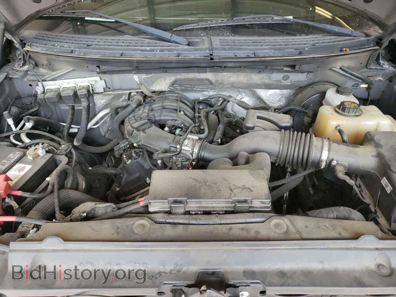 2012 FORD F150 - VIN: 1FTMF1CMXCKE10334 - Фото 7