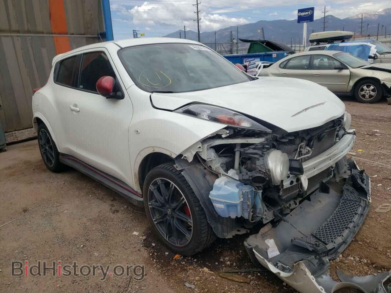 Фотография JN8DF5MR0ET100468 - NISSAN JUKE 2014