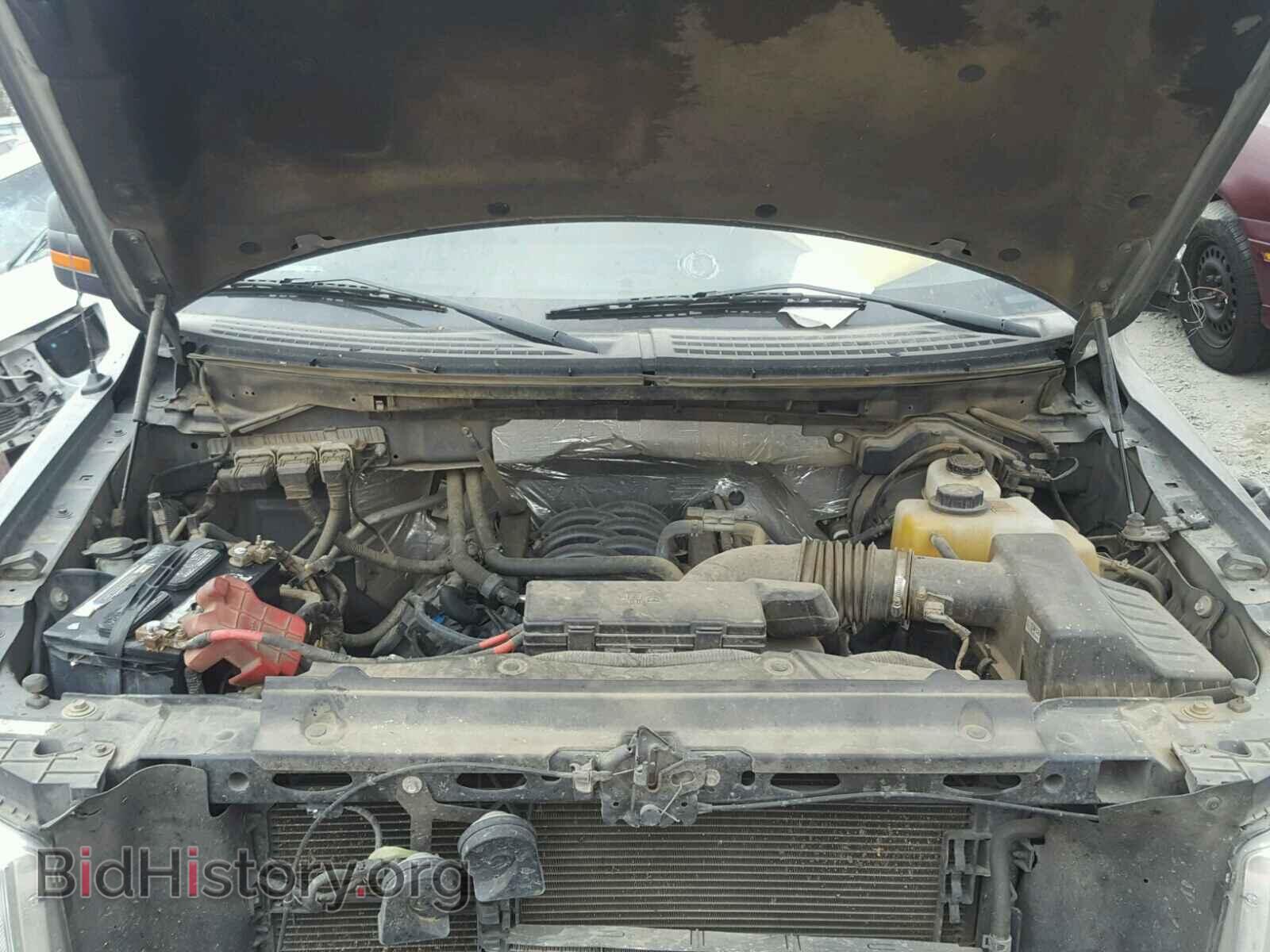 2013 FORD F150 - VIN: 1FTFW1EF4DFD04589 - Фото 7