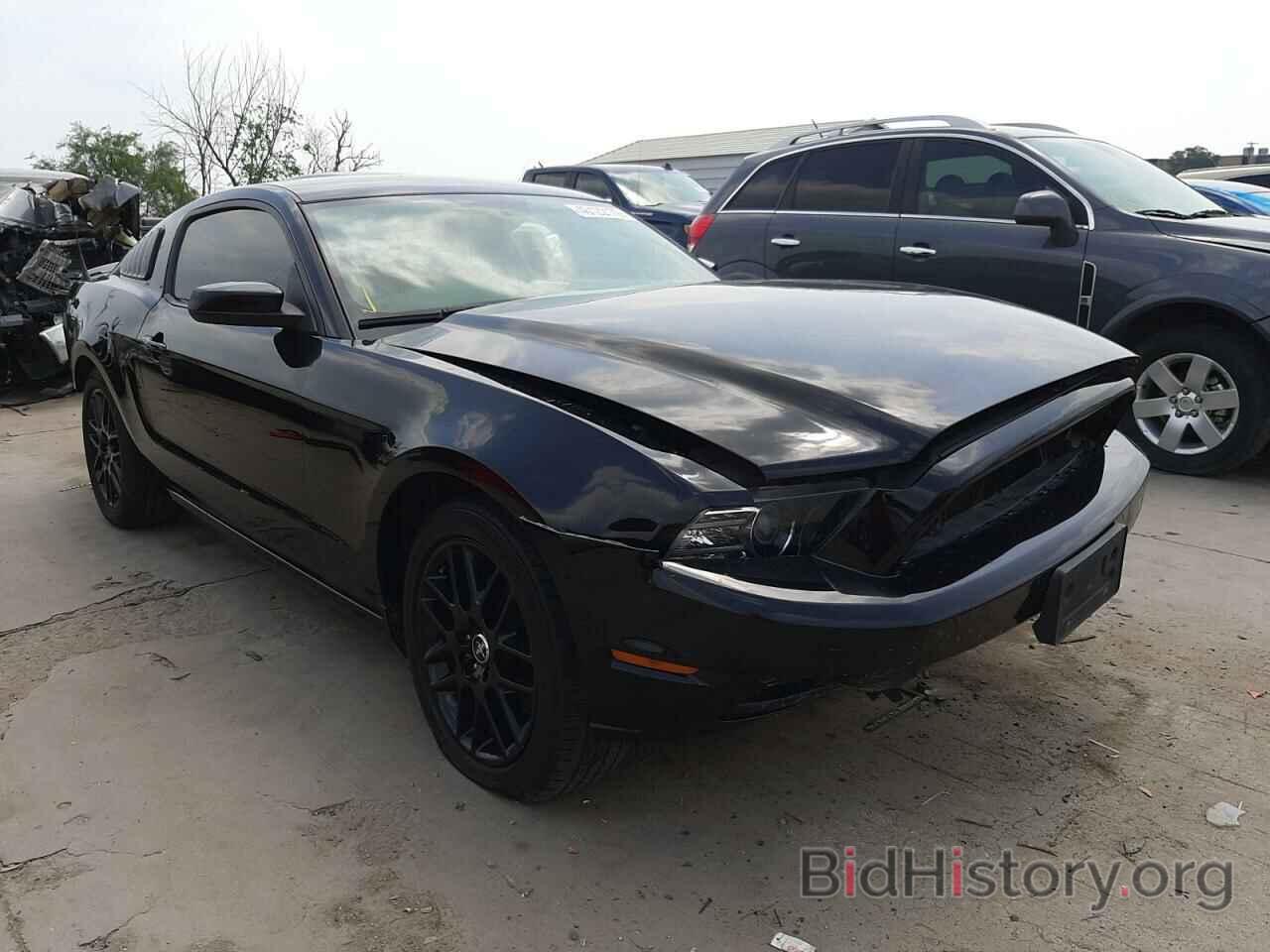 Photo 1ZVBP8AM2E5231185 - FORD MUSTANG 2014