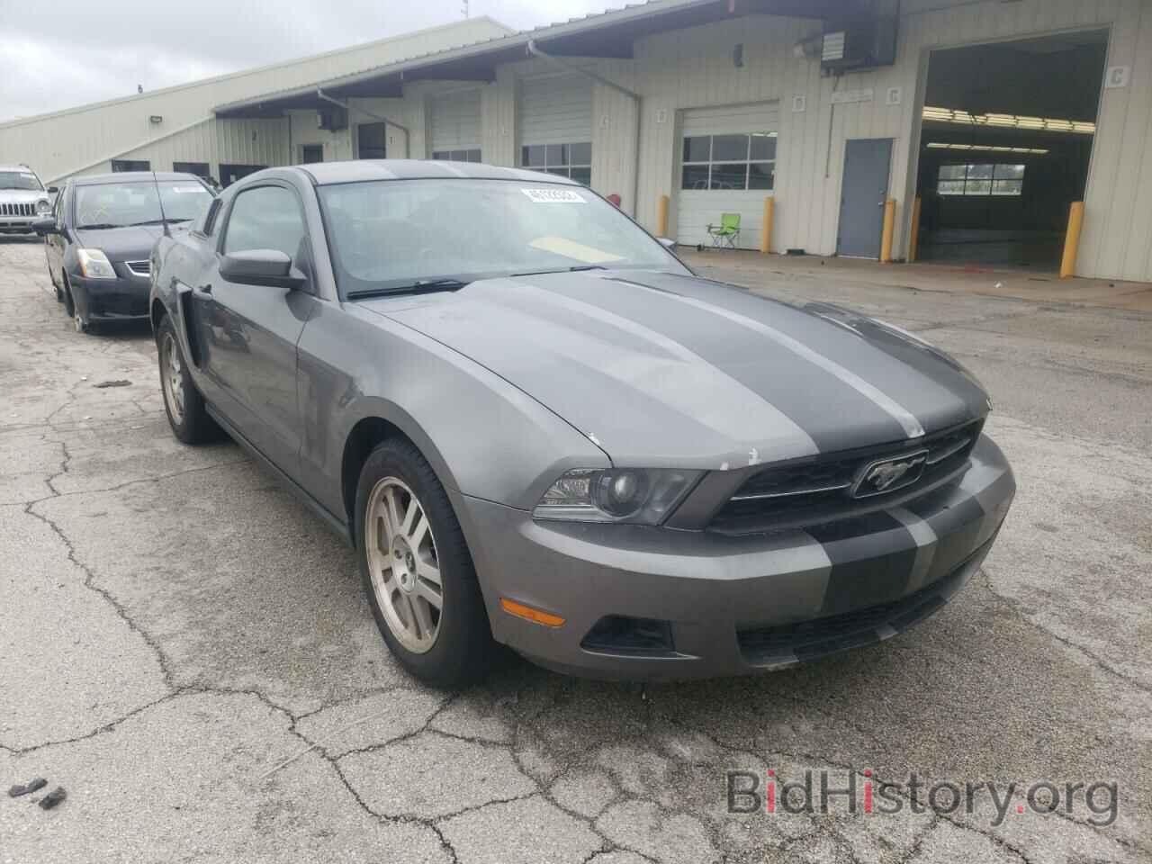 Photo 1ZVBP8AN6A5176873 - FORD MUSTANG 2010