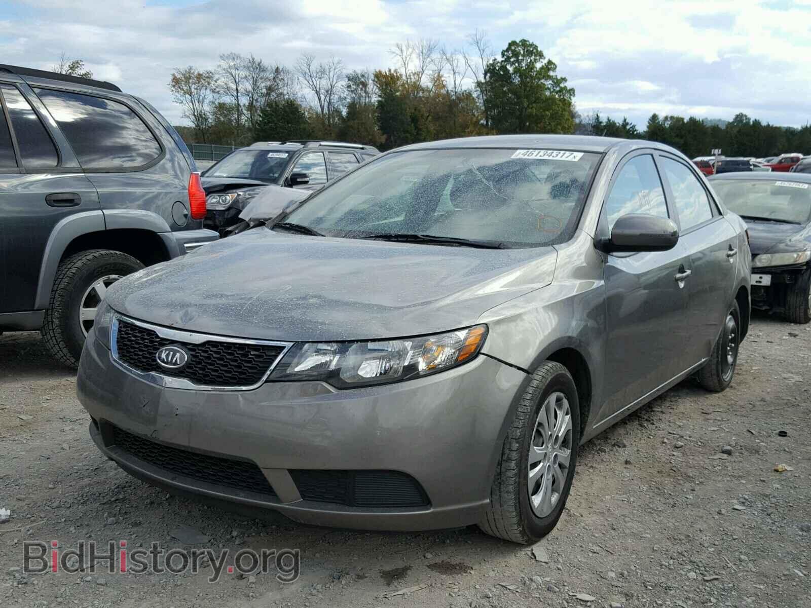 2011 KIA FORTE - VIN: KNAFU4A25B5396256 - Фото 2