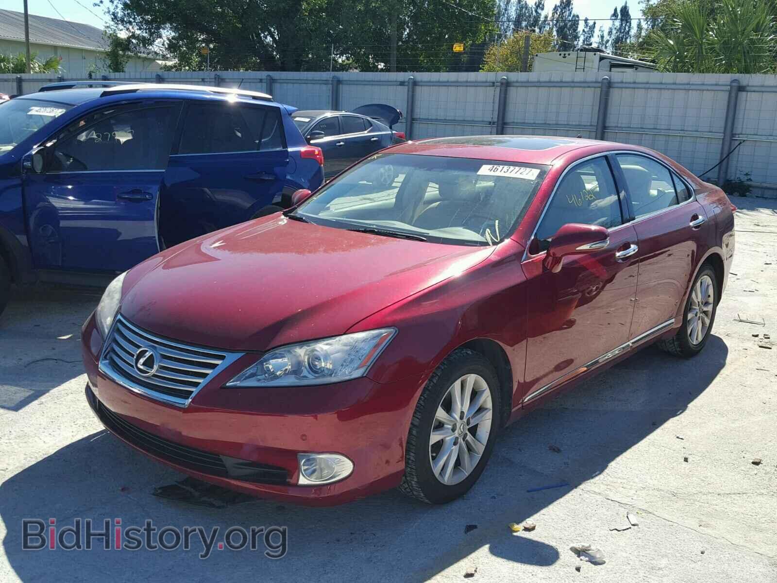2010 LEXUS ES 350 - VIN: JTHBK1EG2A2389176 - Фото 2