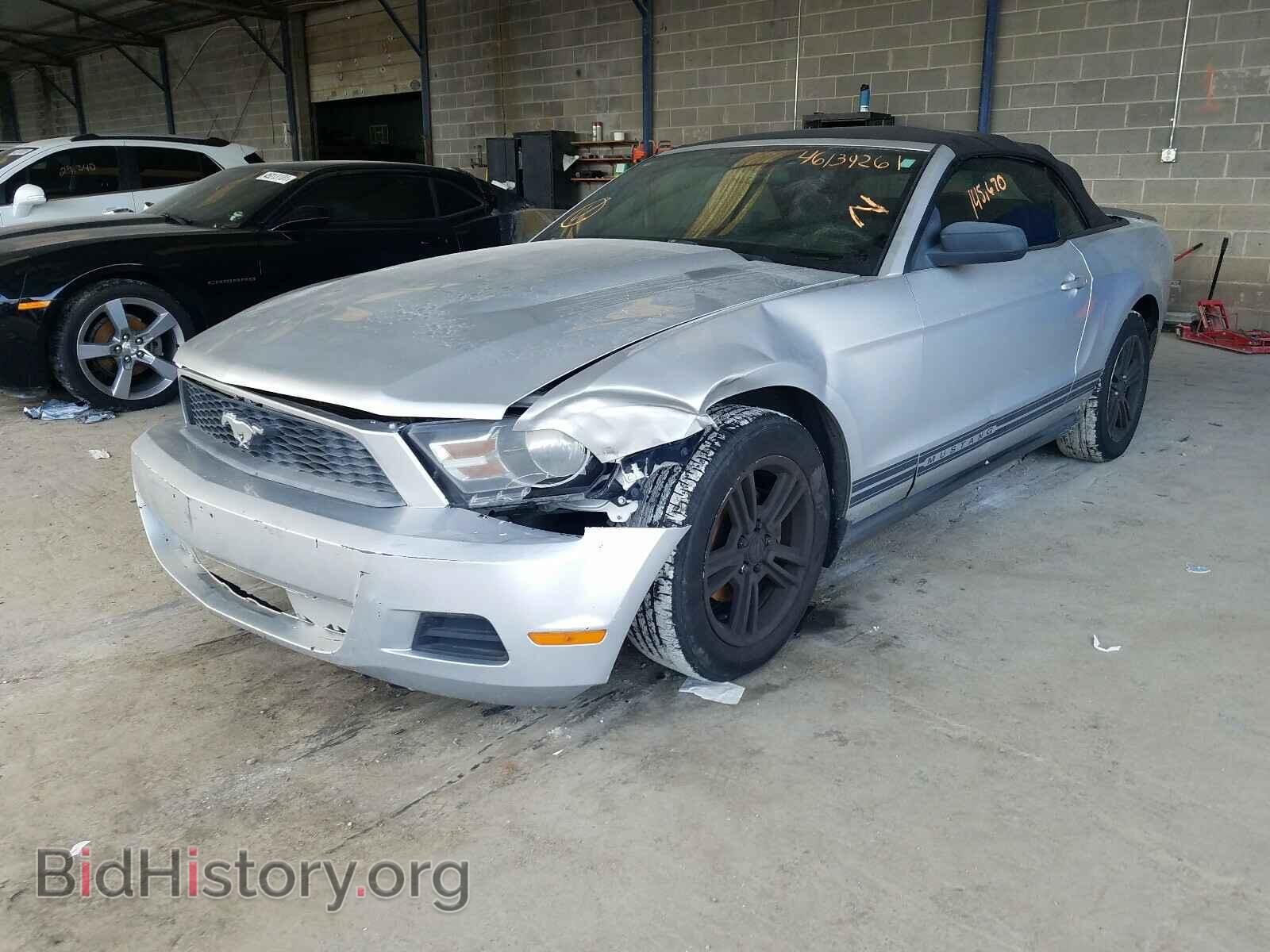 2010 FORD MUSTANG - VIN: 1ZVBP8EN4A5164845 - Фото 2