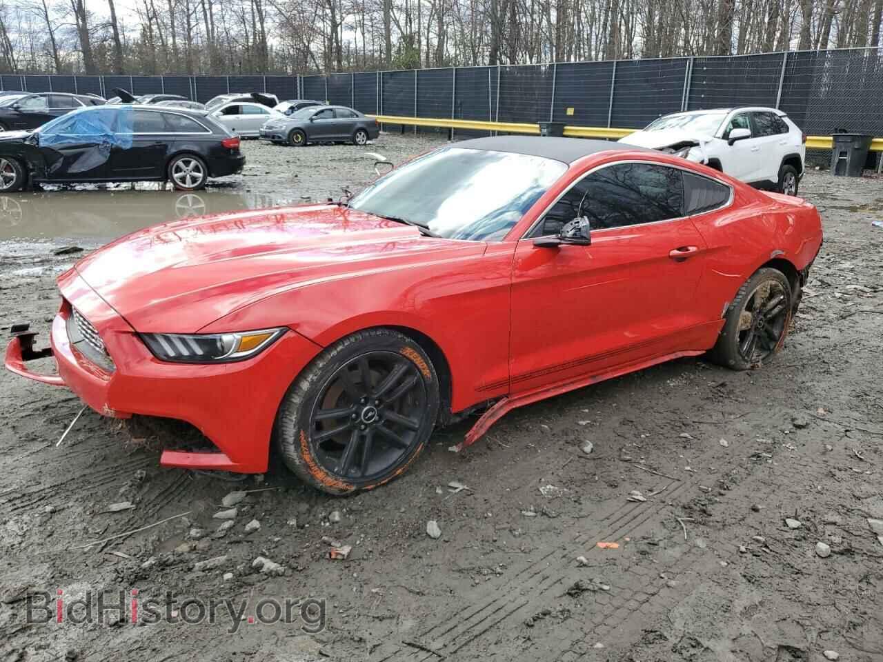 Фотография 1FA6P8TH7H5335704 - FORD ALL Models 2017