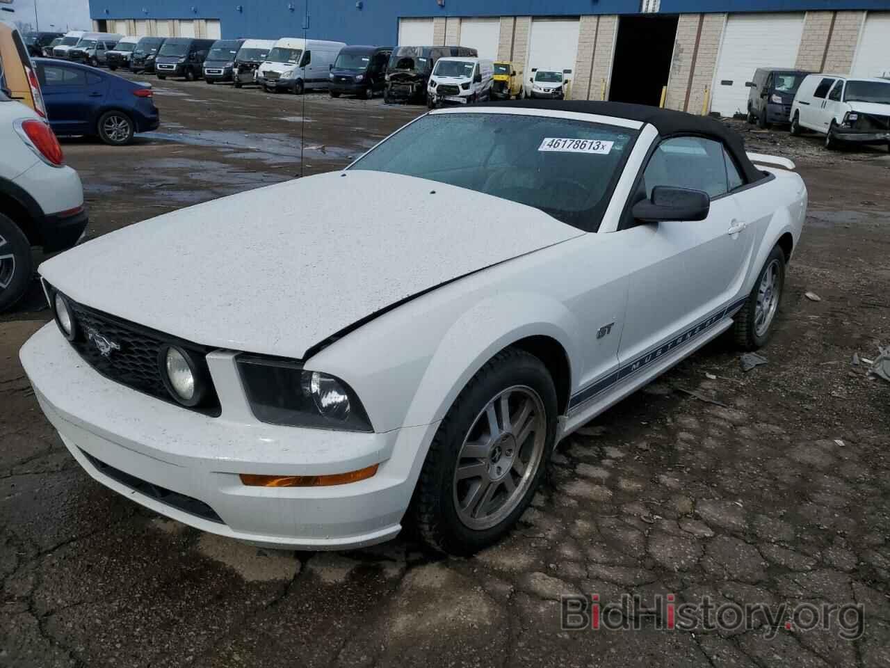 Photo 1ZVFT85H265101080 - FORD MUSTANG 2006